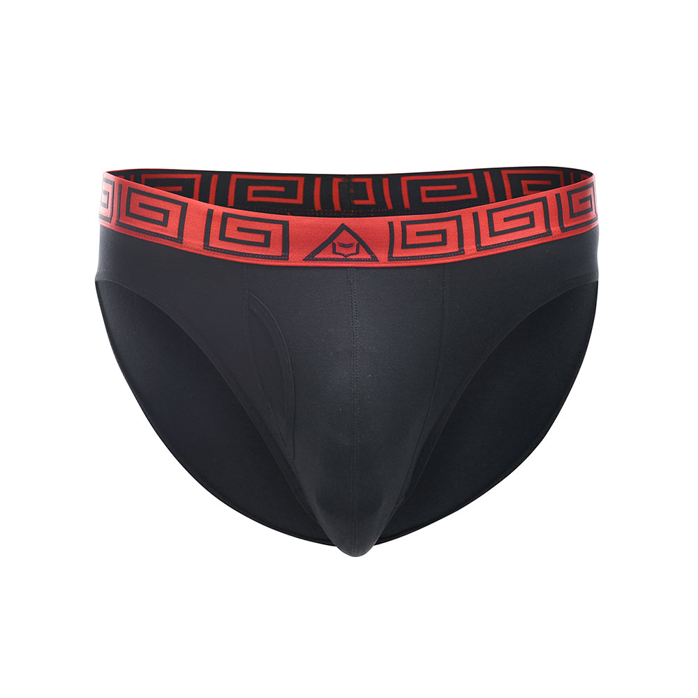 SHEATH Men's Dual Pouch Euro Briefs