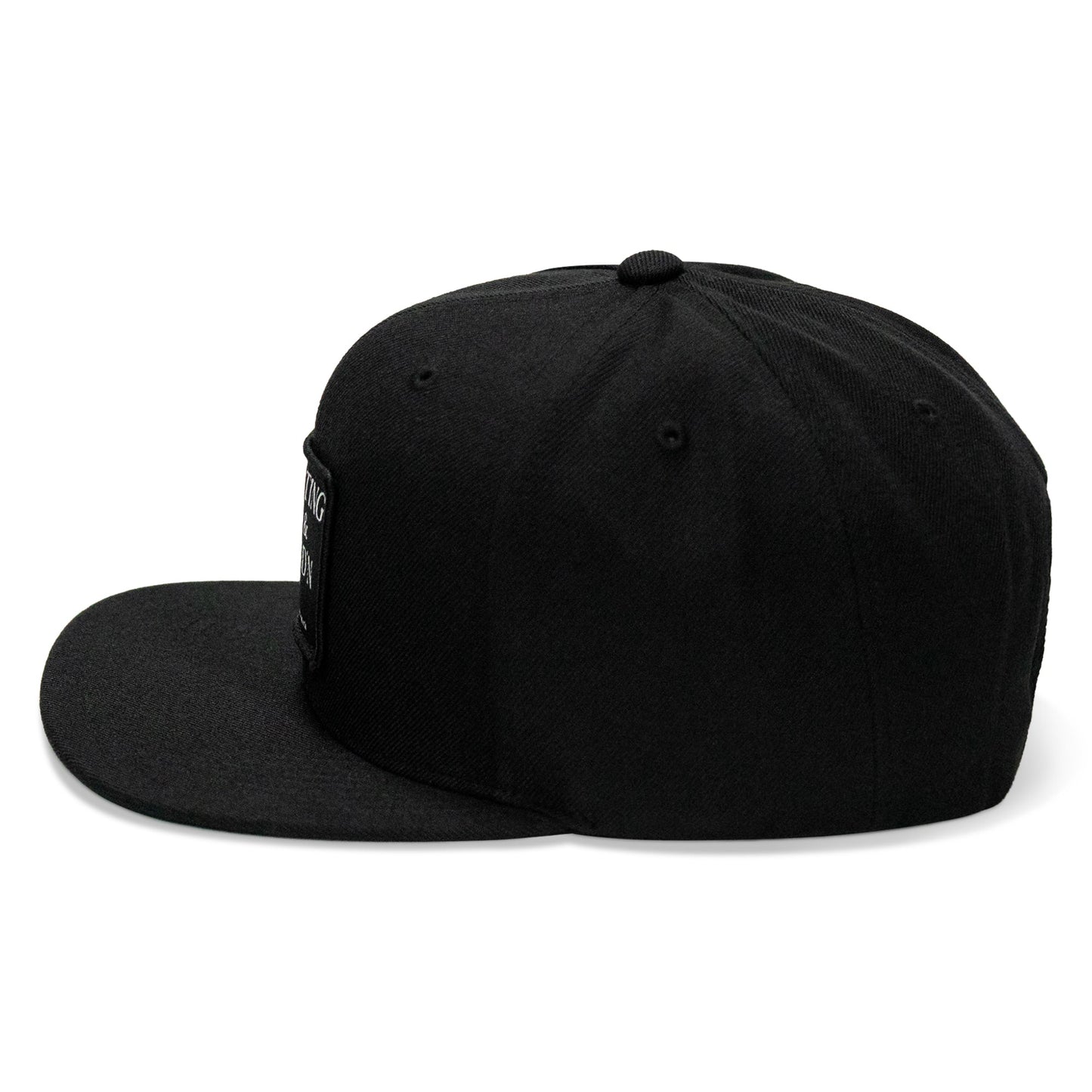 Shooting Guns & Spreadin' Buns Patch Flatbill Hat