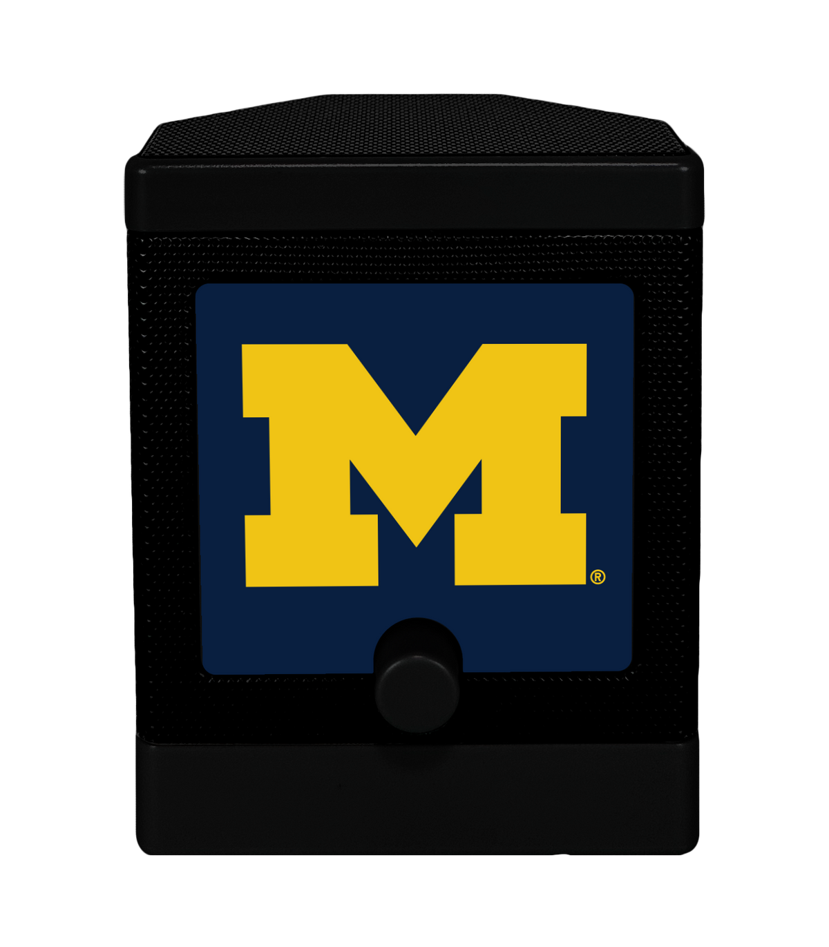 NCAA - Michigan
