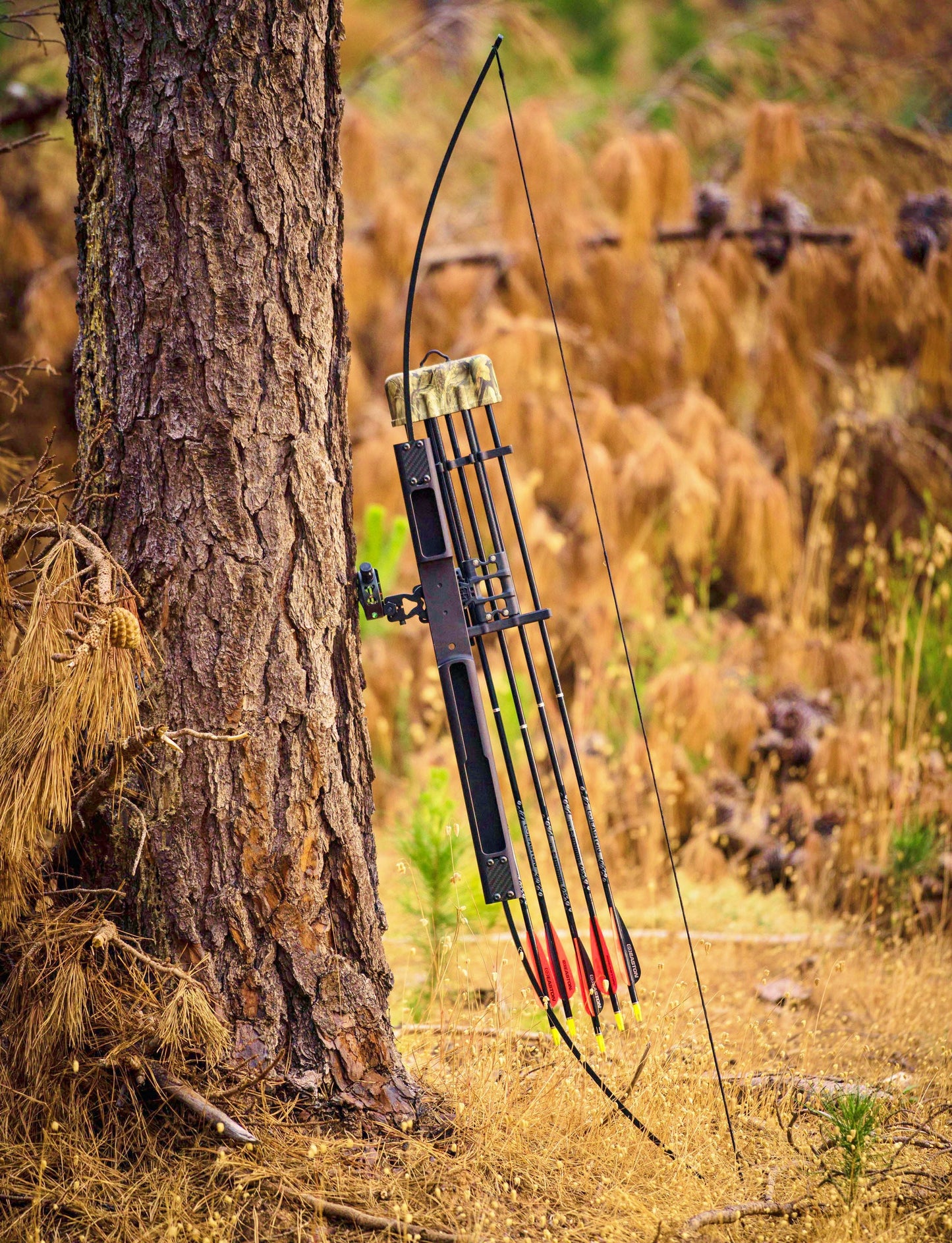 24 HOUR DEAL - Original Scout Takedown Survival Bow (No internal arrows storage)