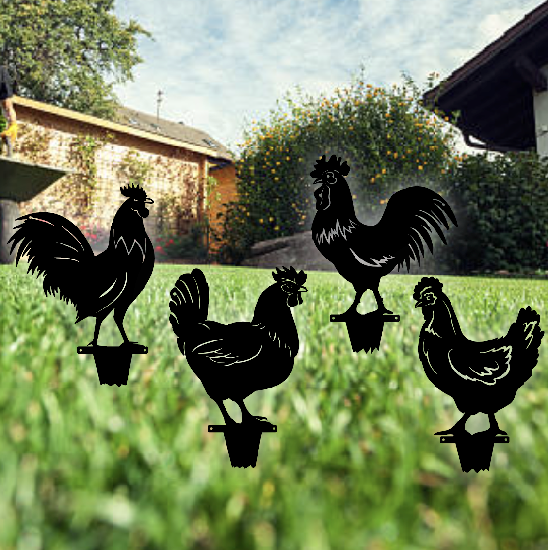 Chicken Stakes