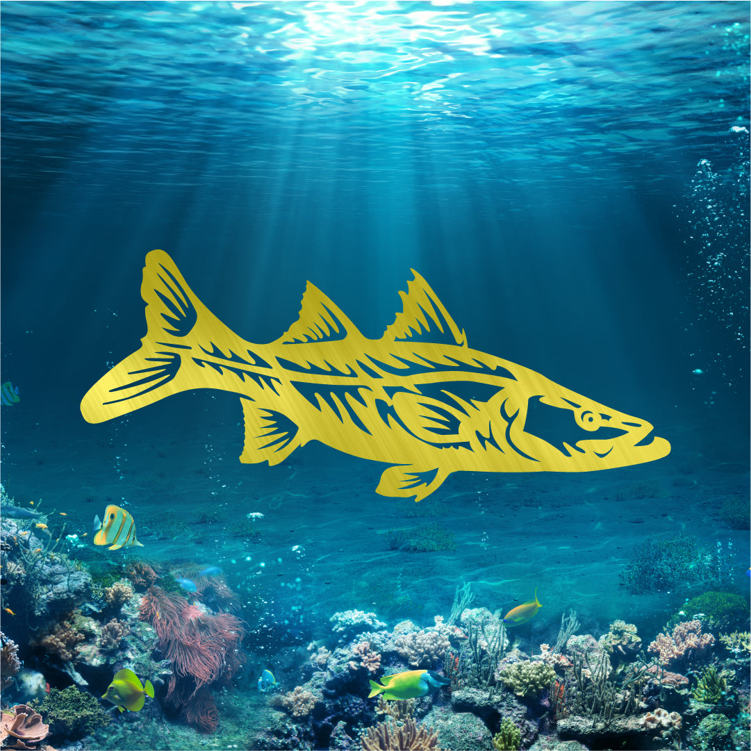 Snook