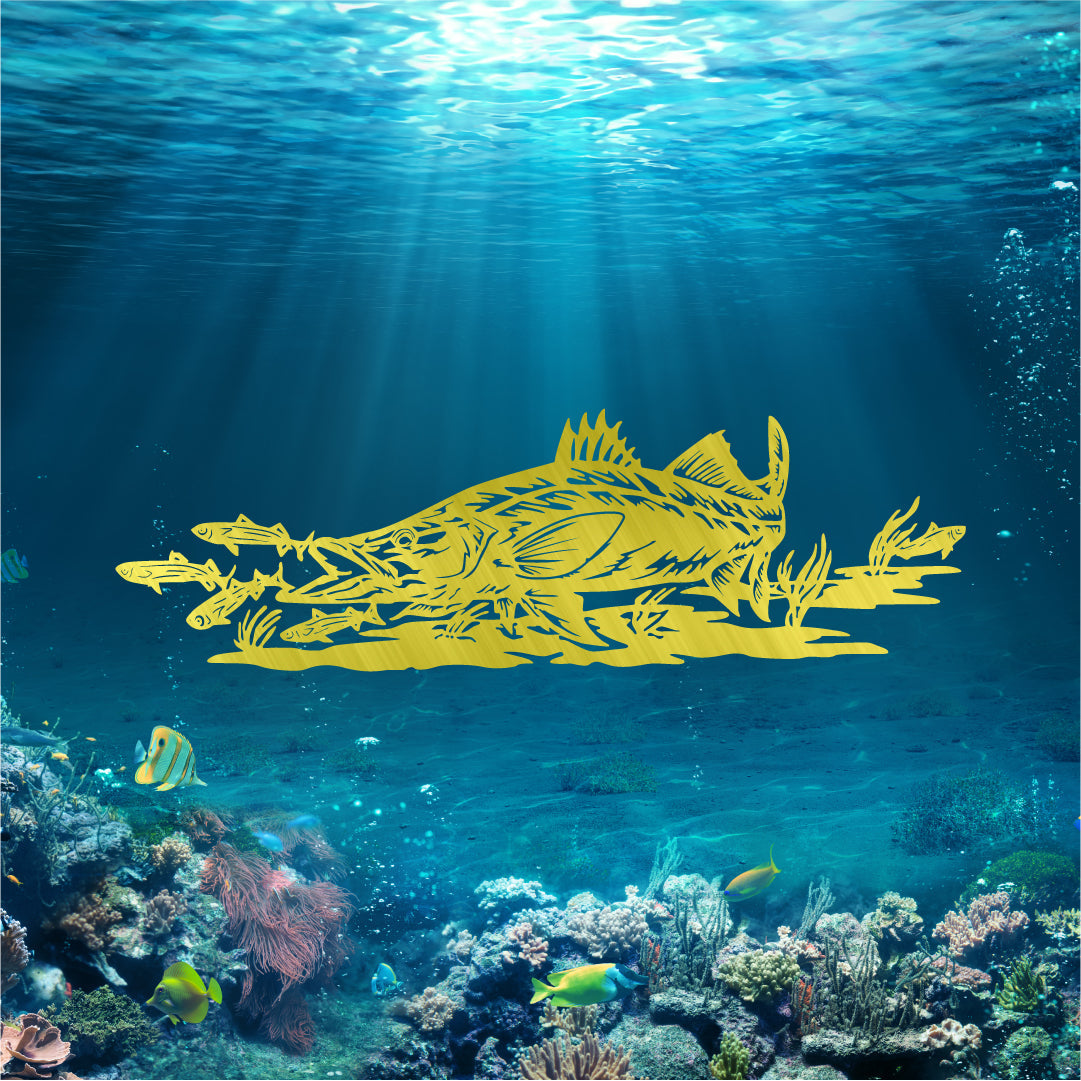 Snook Scene
