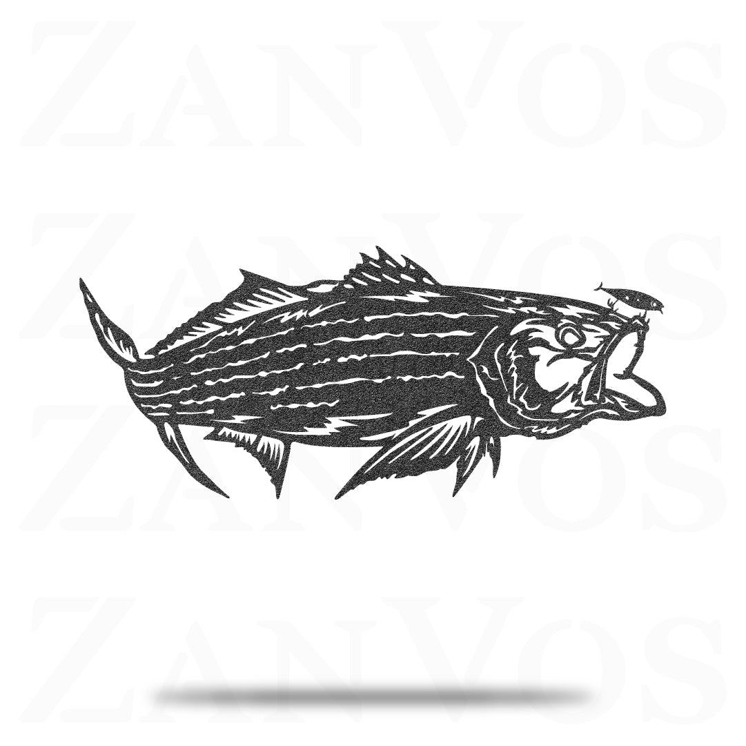 Striped Bass