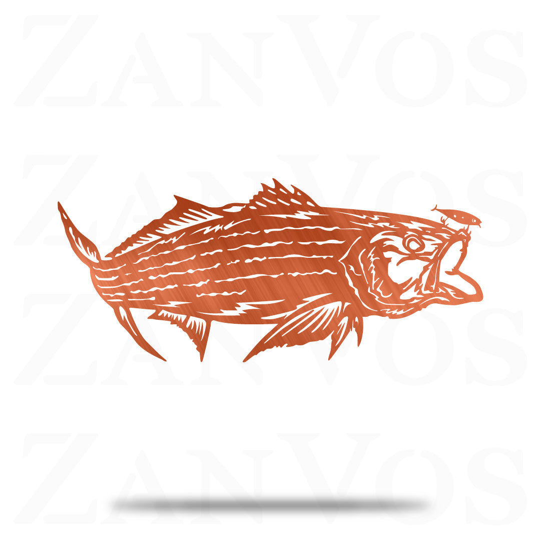 Striped Bass