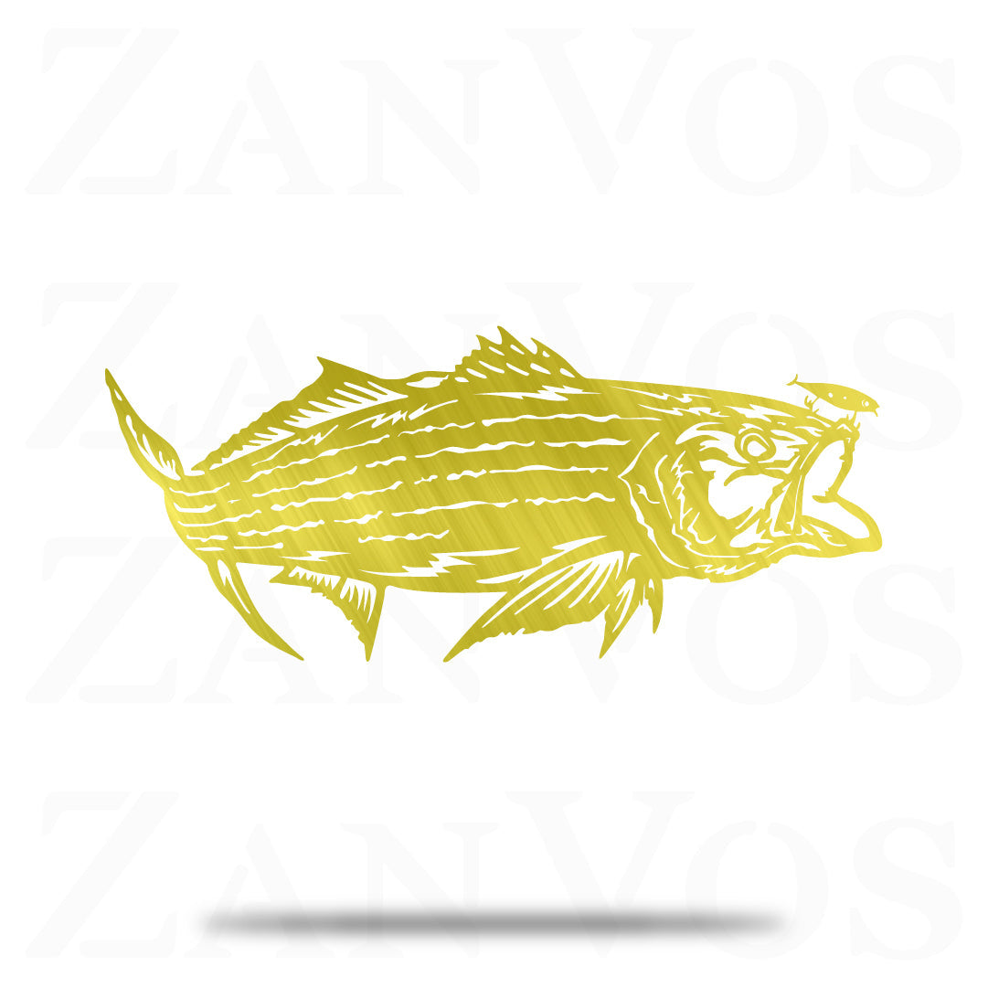 Striped Bass