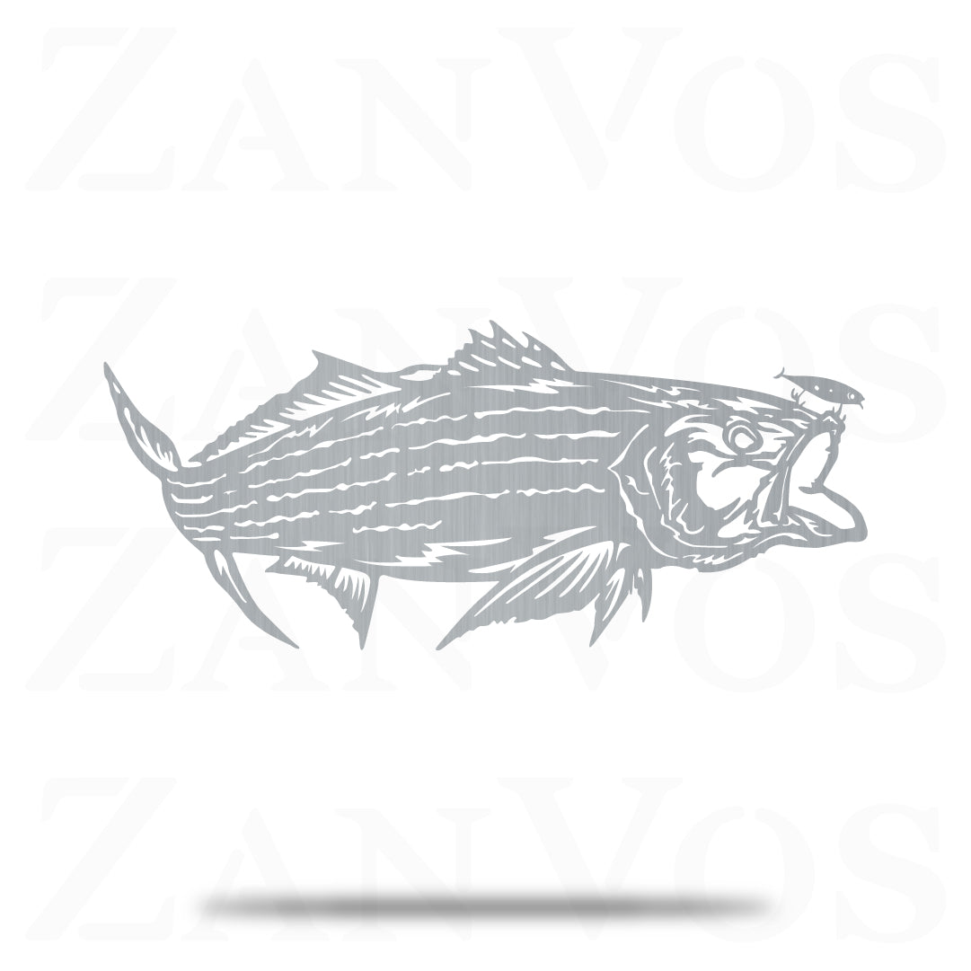 Striped Bass