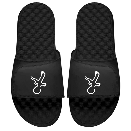 Talon Eagle Slides