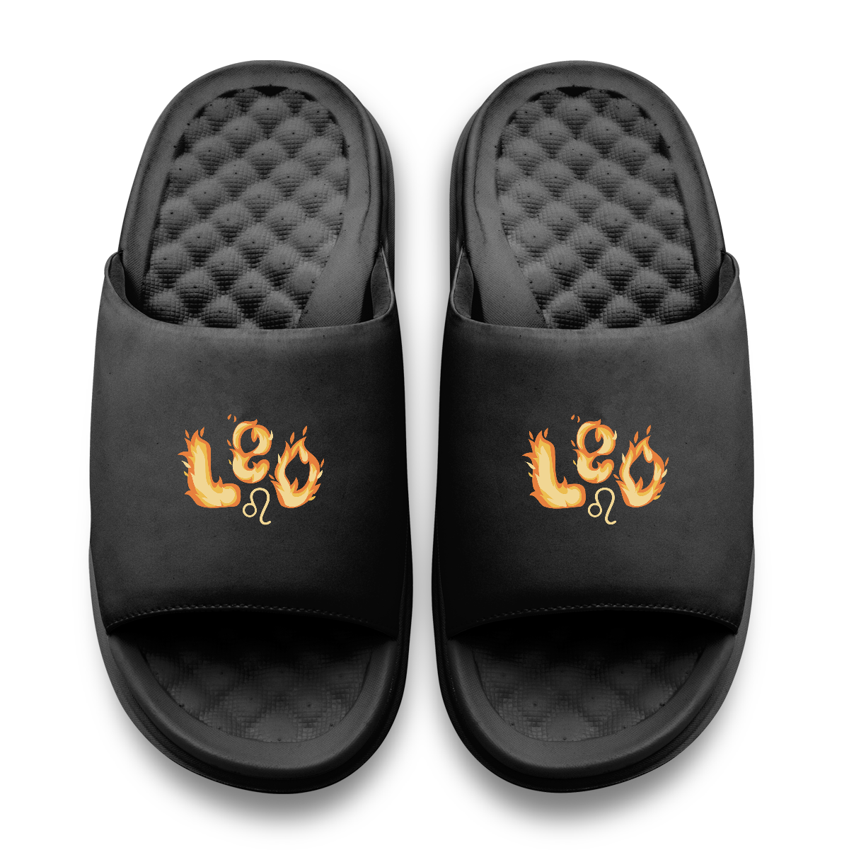 Leo Zodiac Elements Motive