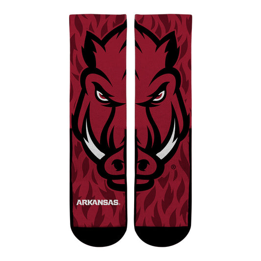 Arkansas Razorbacks - Mascot