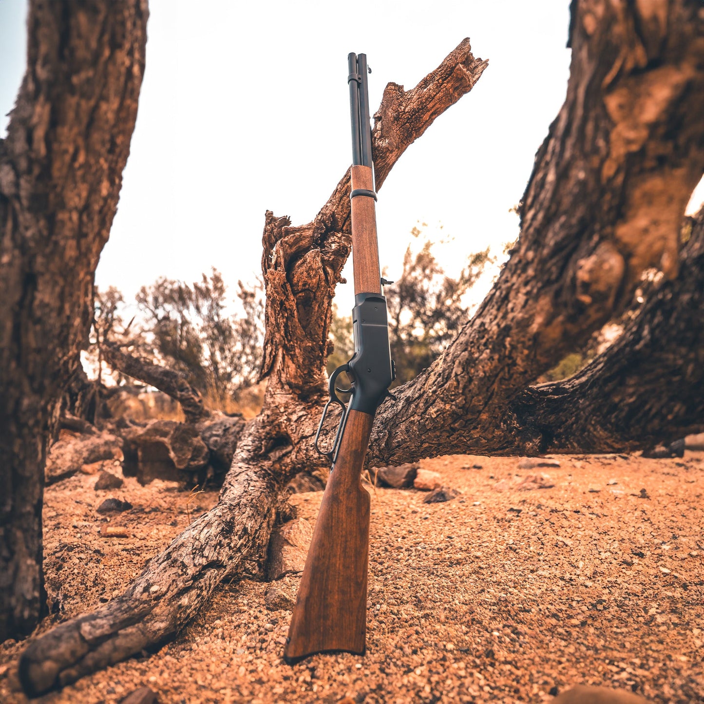 1866 CO2 .177 - Black