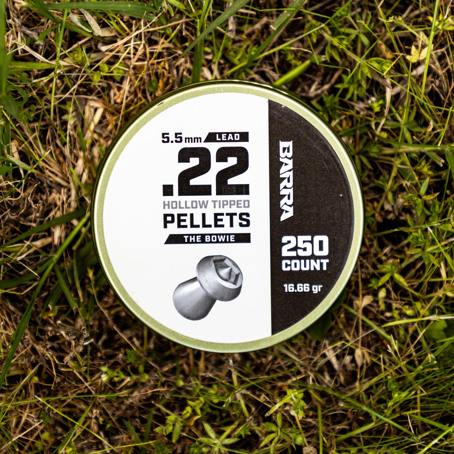 Bowie Hollow Tipped .22 Caliber Pellets - 250 Count