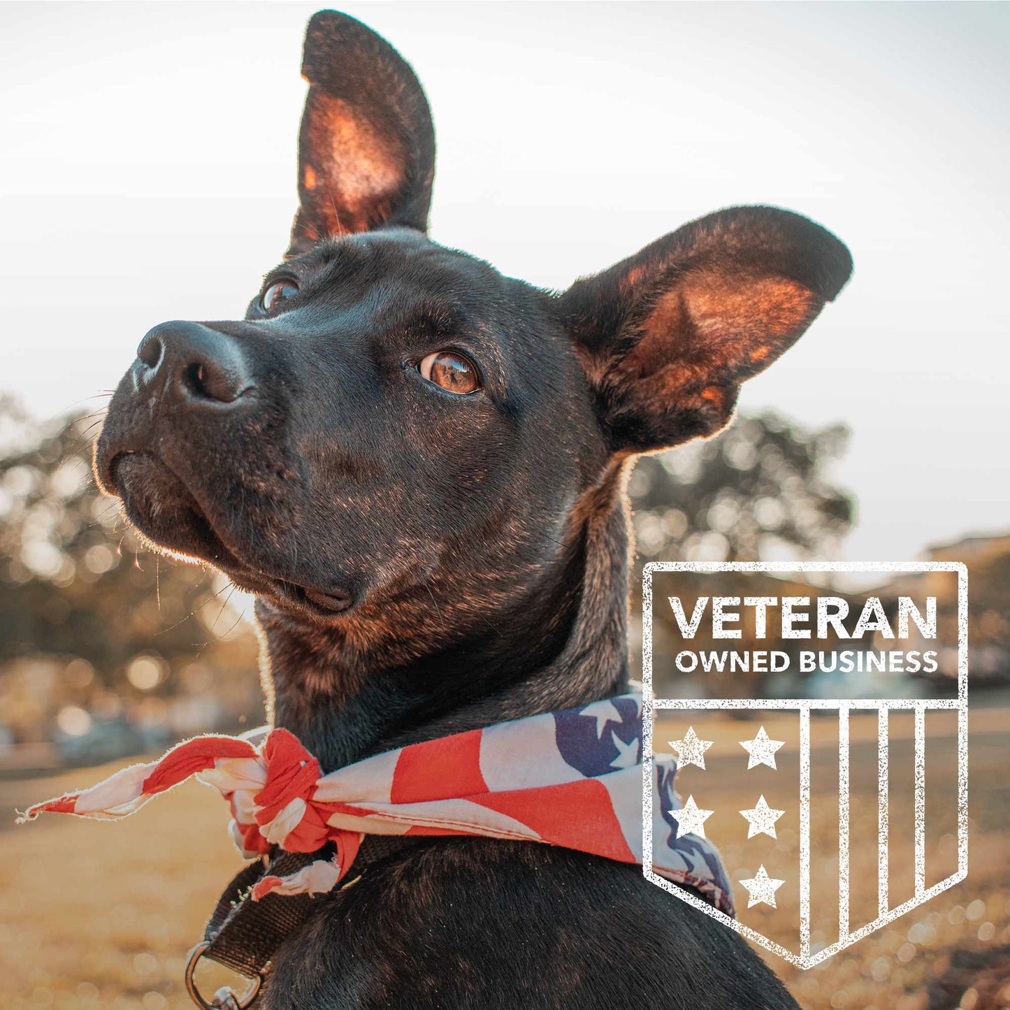 Never Retreat Alpha Wolf Cuban Link Necklace: Helps Pair Veterans With A Service Dog Or Shelter Dog -Faire