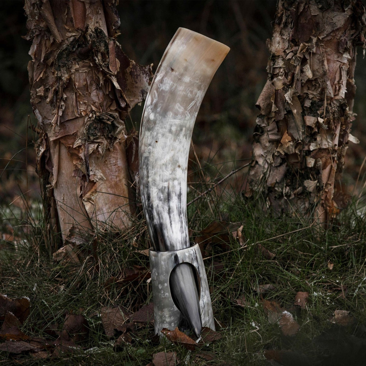 Drinking Horn Bundle with Stand & Holster