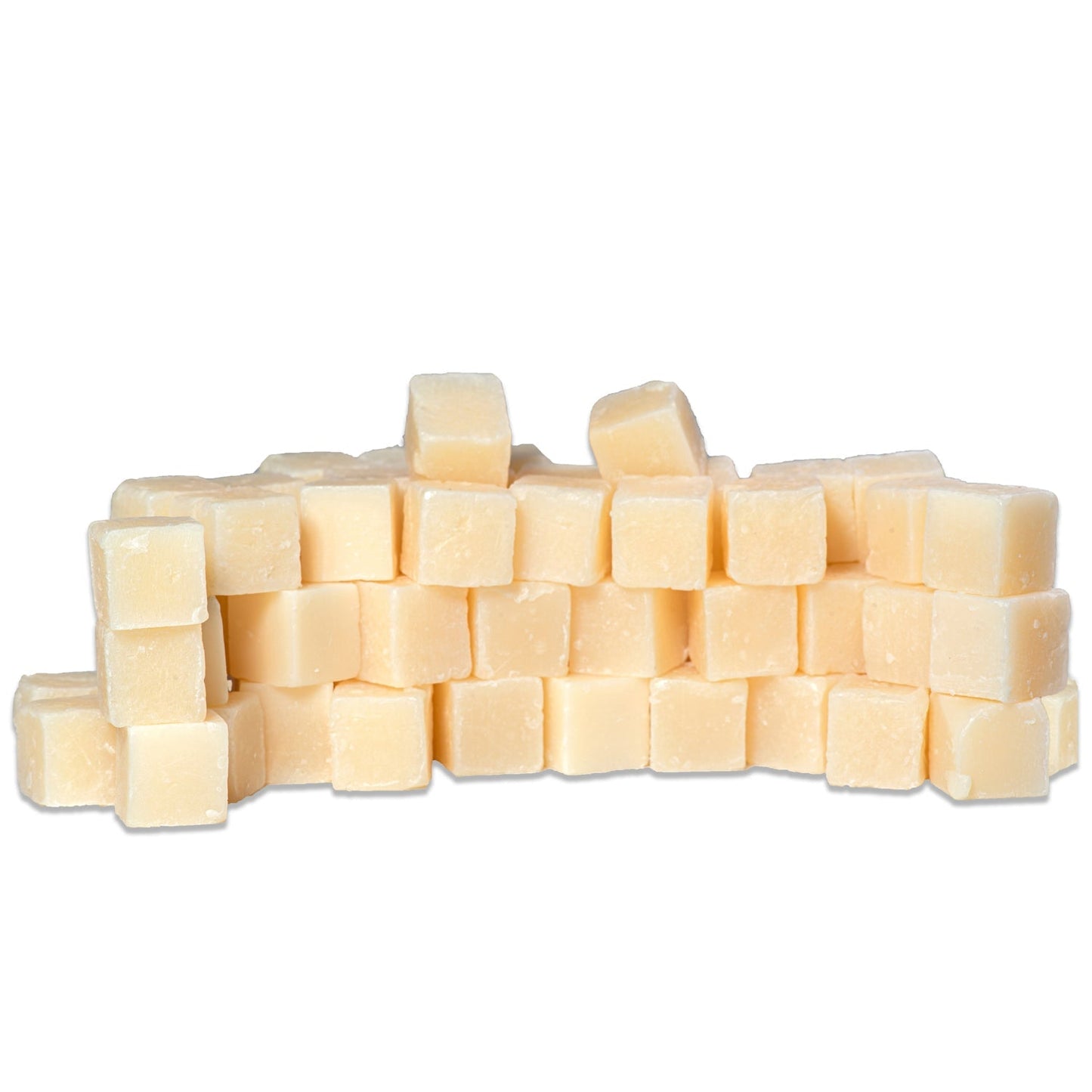 Skipjack Catfish Bait