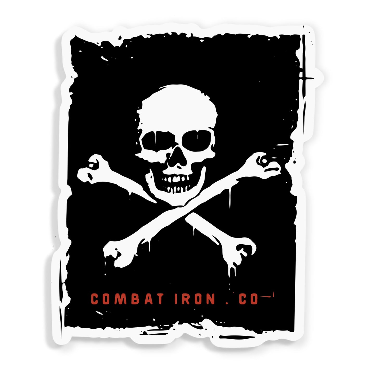 Pirate Skull Decal