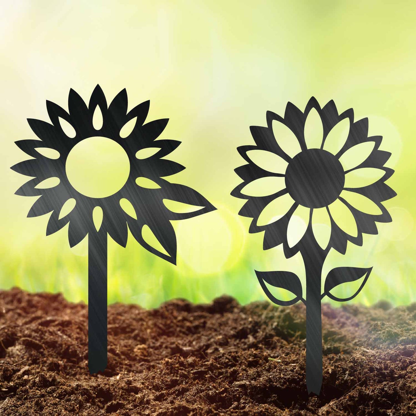 Sunflower Stakes