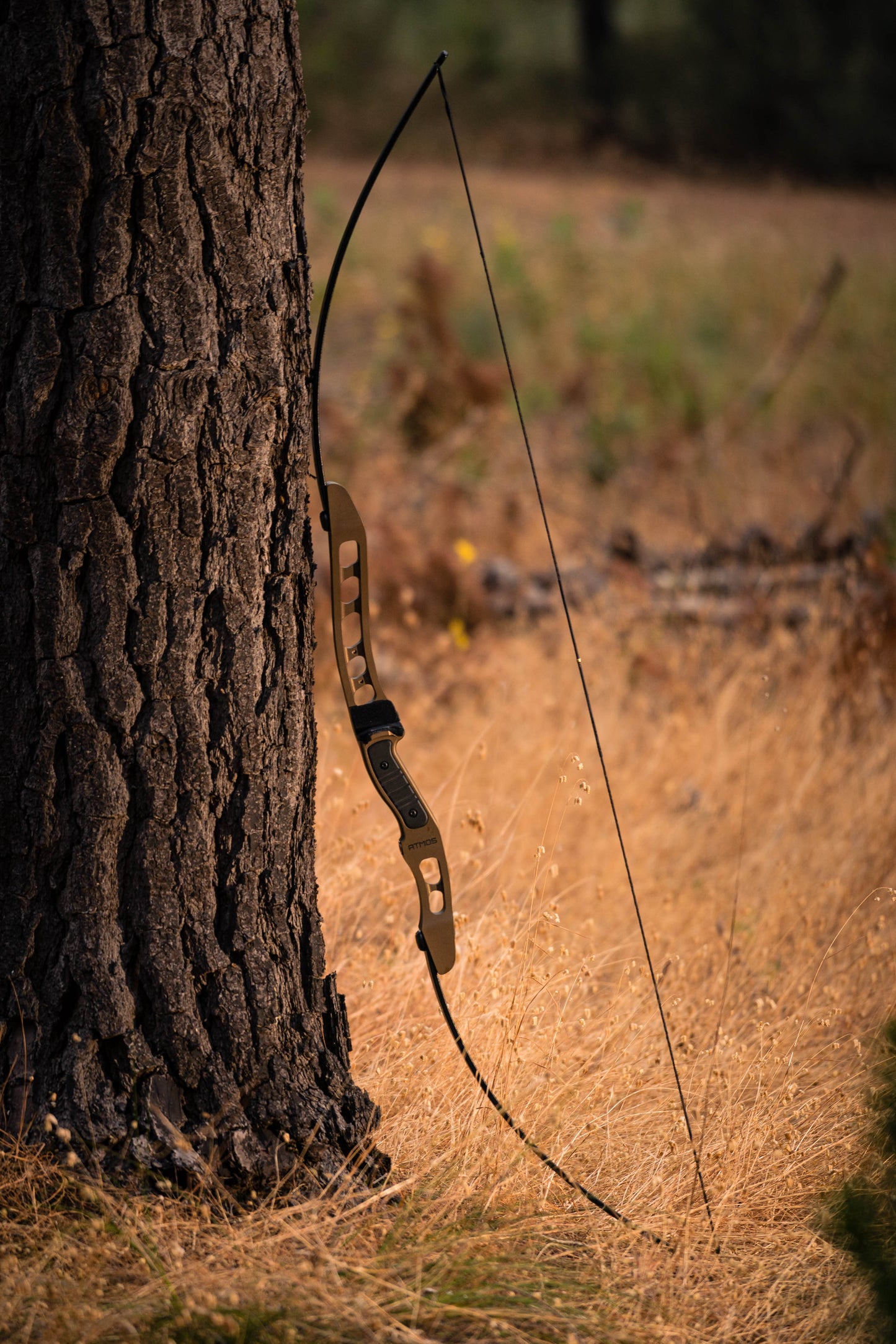 Atmos Compact Takedown Longbow